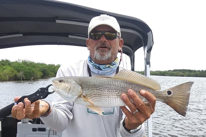 Two-Hour Indian River Lagoon Eco Boat Tour from Cocoa Beach photo 6