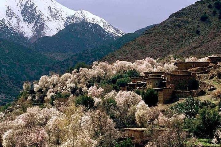 Ourika Valley Day Tour from Marrakech: Waterfalls, Berber Villages & Atlas Hike photo 3