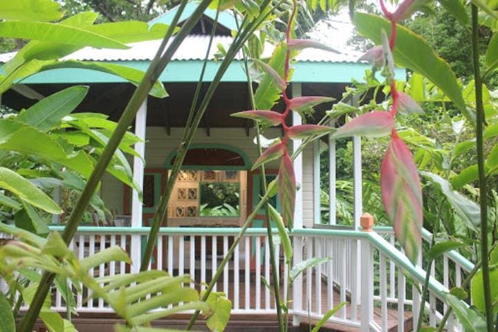 Private Art and Food Tour in Antigua — Craft Markets, Rum Punch & Local Galleries