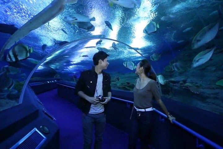 Underwater World Pattaya Aquarium Admission with Return Transfer photo 3