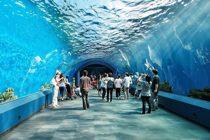 Underwater World Pattaya Aquarium Admission with Return Transfer