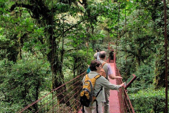 Monteverde Cloud Forest Reserve Guided Walk — 3-Hour Naturalist Tour photo 6