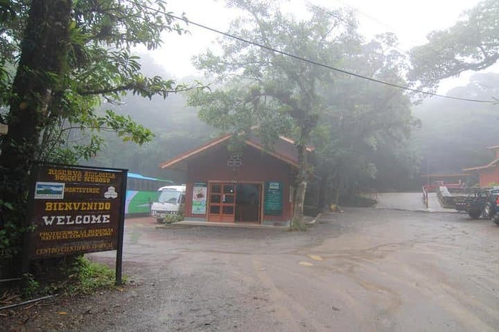 Monteverde Cloud Forest Reserve Guided Walk — 3-Hour Naturalist Tour photo 2