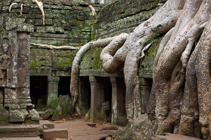 Private Angkor Temples Day Tour — Angkor Wat, Bayon & Ta Prohm from Siem Reap photo 3