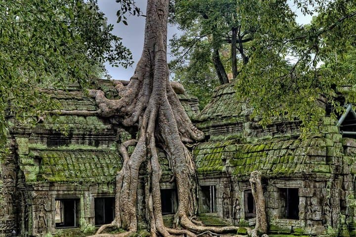 Private Angkor Temples Day Tour — Angkor Wat, Bayon & Ta Prohm from Siem Reap photo 5