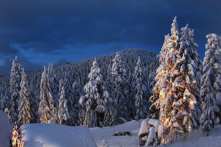 North Shore Mountains Tour: Grouse, Seymour & Cypress in All Seasons photo 2