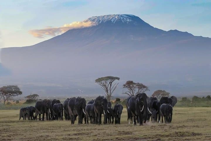 Machame Route Kilimanjaro: 6-Day Summit Trek to Uhuru Peak photo 2