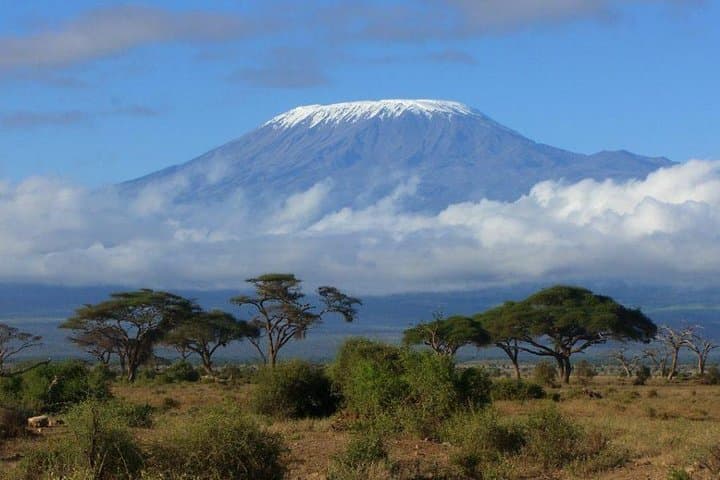 Machame Route Kilimanjaro: 6-Day Summit Trek to Uhuru Peak