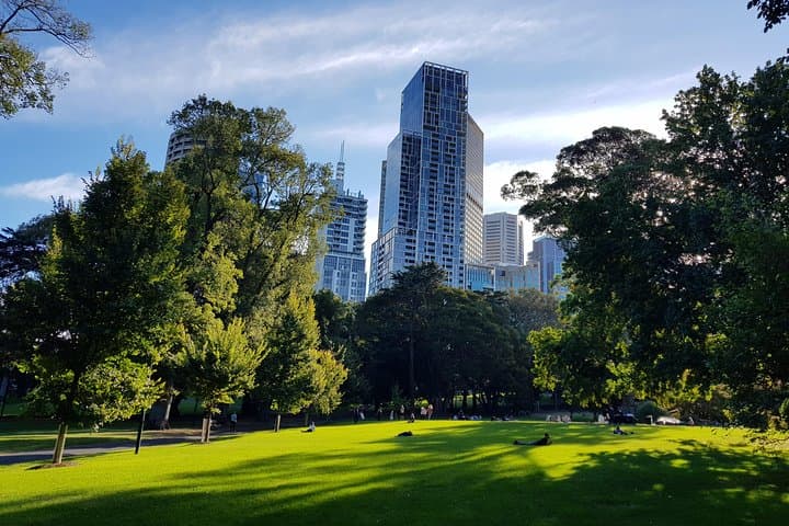Melbourne Sights & Sounds Private Tour: City Laneways, Markets & Beach Boxes photo 3