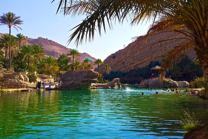 Wahiba Sands and Wadi Bani Khalid Day Safari from Muscat photo 6
