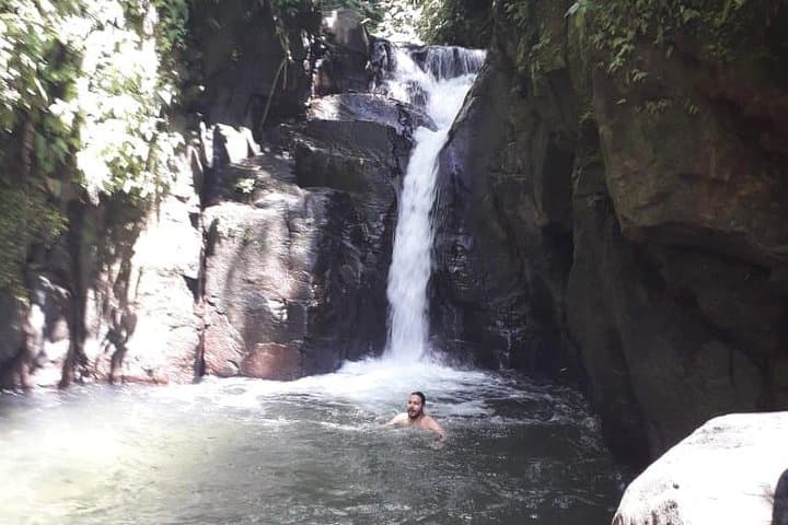 Martinique North Island Private Tour: Rainforest, Rum & Black-Sand Beaches