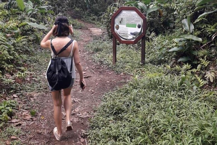 Martinique North Island Private Tour: Rainforest, Rum & Black-Sand Beaches photo 2