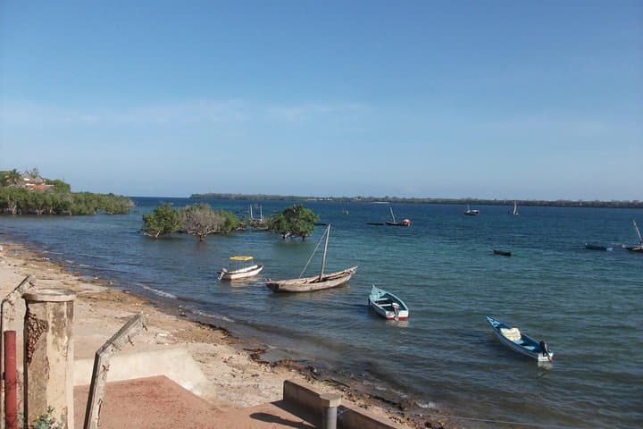 Diani Beach 4-Day Coastal Escape: SGR Train, Kisite Snorkel & Wasini Island photo 5