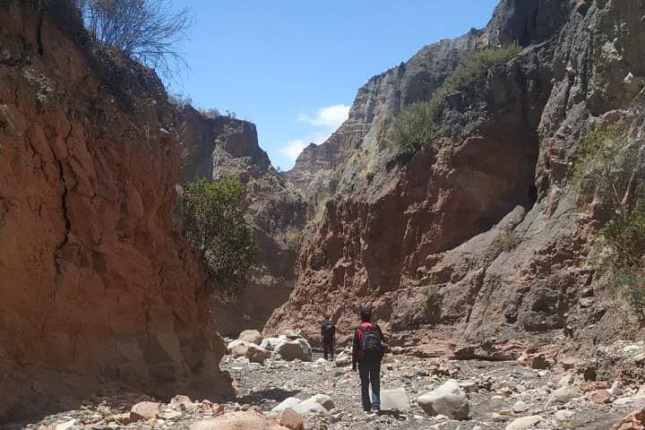 La Paz Palca Canyon, Valle de la Luna & Teleférico Day Tour photo 6