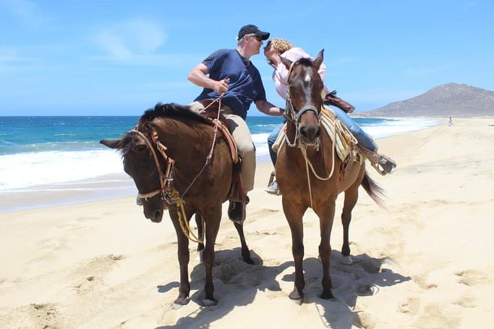 Ride Cabo’s White‑Sand Beaches: 2‑Hour Horseback Adventure & Tequila Tasting photo 5