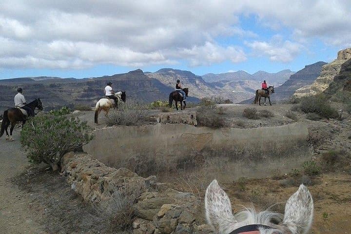 Maspalomas Dunes Horseback Ride — 1-Hour Gran Canaria Mountain Trek photo 3