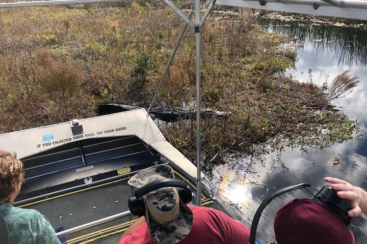 Everglades Airboat Tour from Orlando — 1-Hour Wild Wetlands Ride photo 3