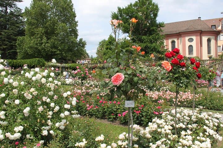 Mainau Island Day Trip from Oberstaufen — Lake Constance in One Day photo 2