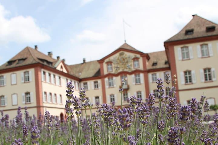 Mainau Island Day Trip from Oberstaufen — Lake Constance in One Day photo 3