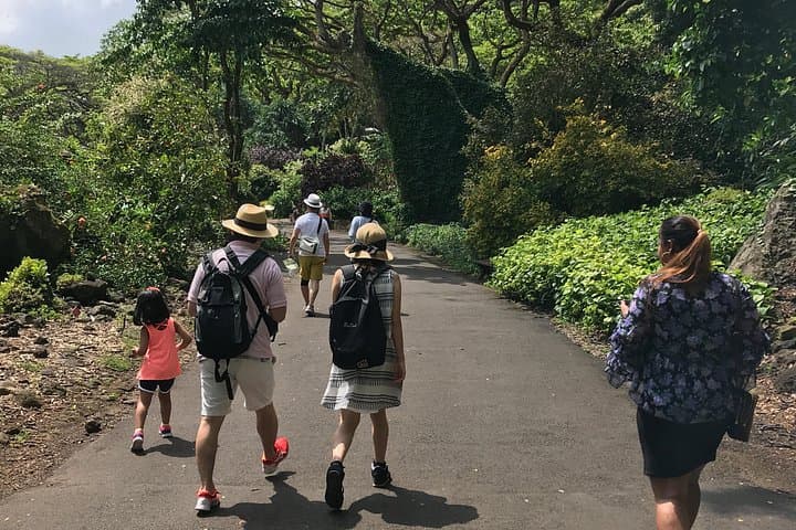 North Shore & Waimea Falls Day Tour — Swim with Turtles on Oahu photo 2