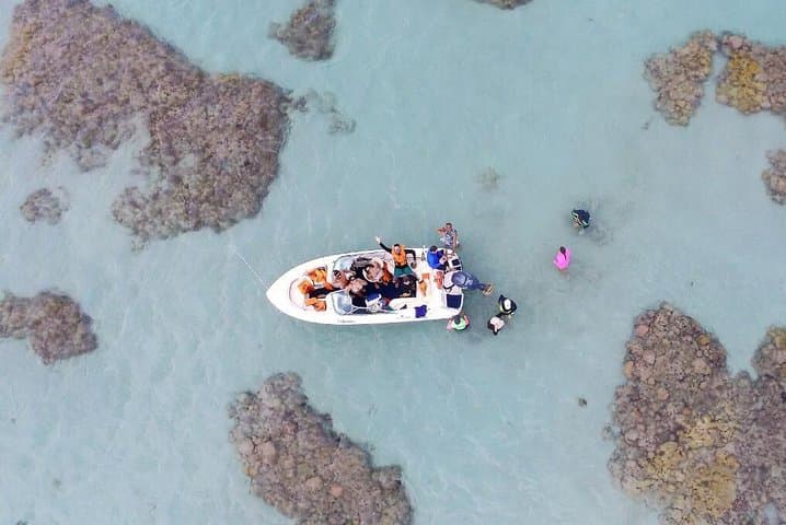 Perobas Day Dive from Natal: Parrachos Reefs & Punaú Beach