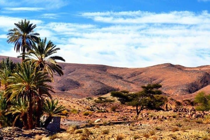 Overnight Zagora Sahara Tour from Marrakech: Camel Trek & Berber Camp photo 3