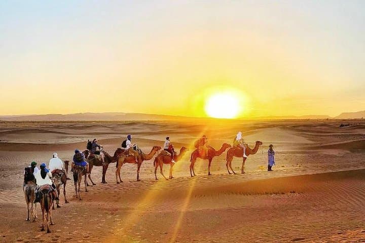 Overnight Zagora Sahara Tour from Marrakech: Camel Trek & Berber Camp photo 4