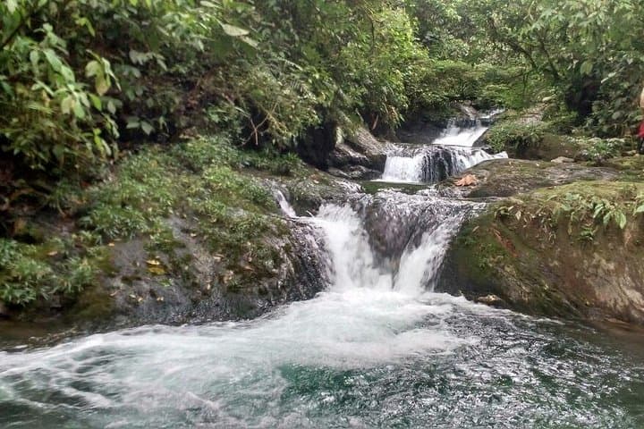 Pericos Reserve Waterfall Trek: Full-Day Rainforest Hike from Cali