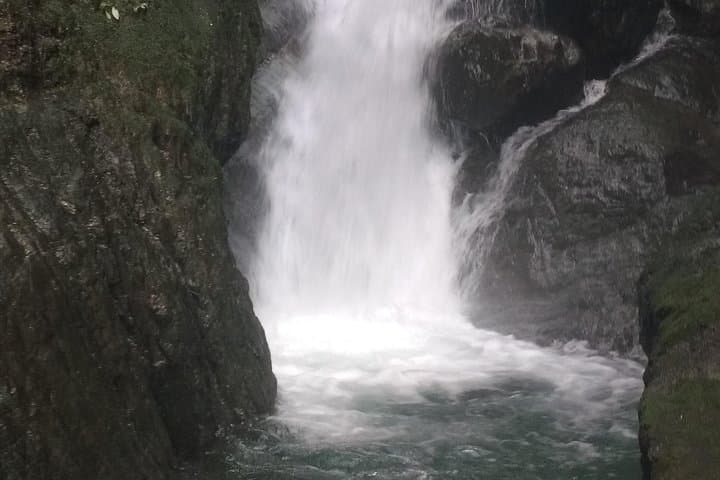 Pericos Reserve Waterfall Trek: Full-Day Rainforest Hike from Cali photo 2