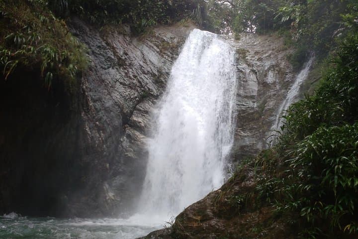 Pericos Reserve Waterfall Trek: Full-Day Rainforest Hike from Cali photo 3