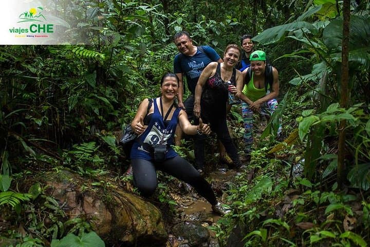 Pericos Reserve Waterfall Trek: Full-Day Rainforest Hike from Cali photo 6