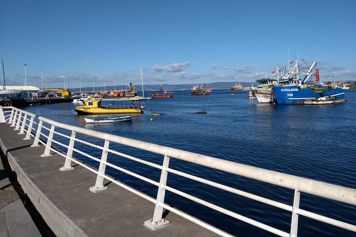 Explore Talcahuano Port: Huáscar Museum, Rocuant Wetland & Fishermen's Market Tour