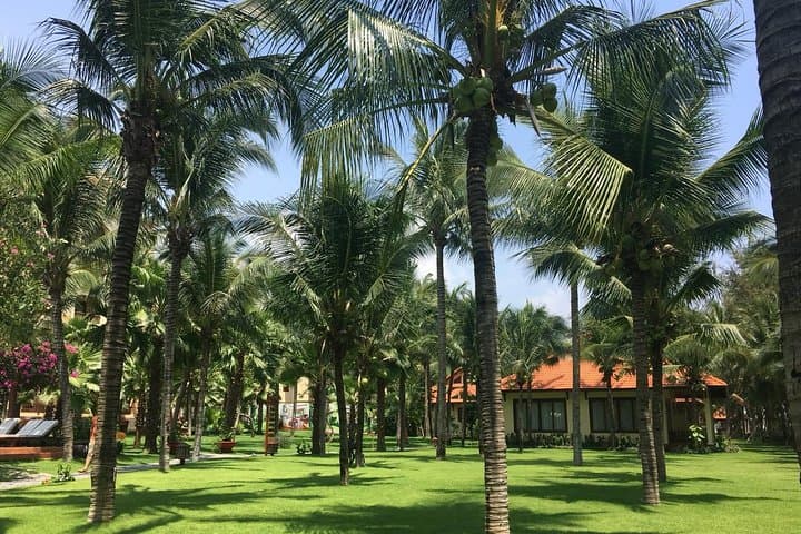 Mui Ne Dunes & Fairy Stream: 2-Day Private Escape from Saigon photo 4