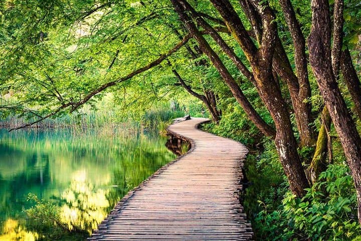 Plitvice Lakes Day Trip from Omiš: 16 Lakes, Waterfalls & Boardwalk Hike photo 5