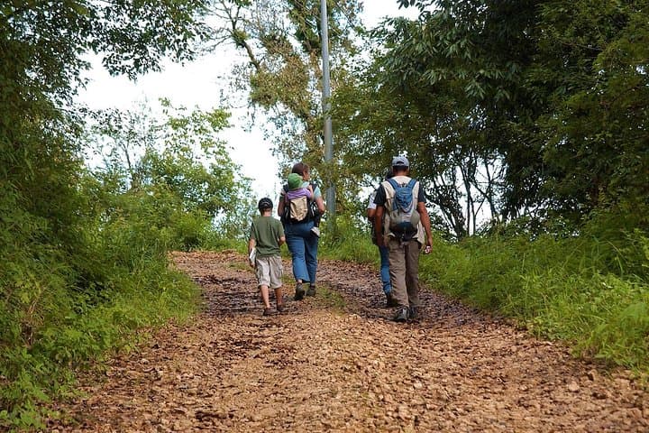 Kathmandu Valley Birding Hike: Day Birdwatching Tour in Nagarjun & Shivapuri