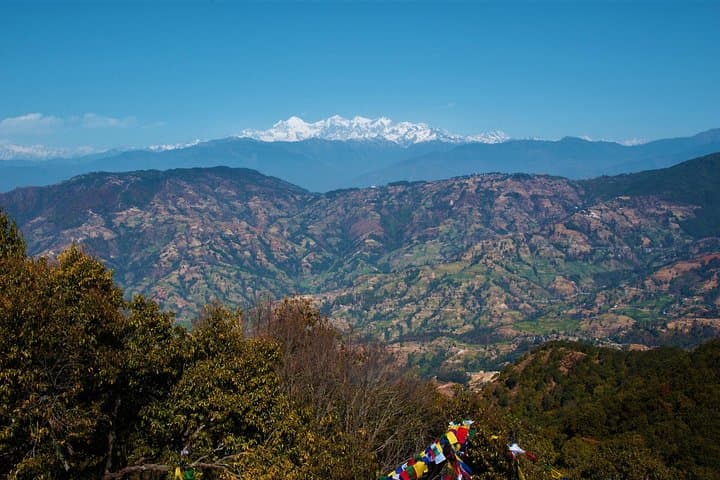 Kathmandu Valley Birding Hike: Day Birdwatching Tour in Nagarjun & Shivapuri photo 6