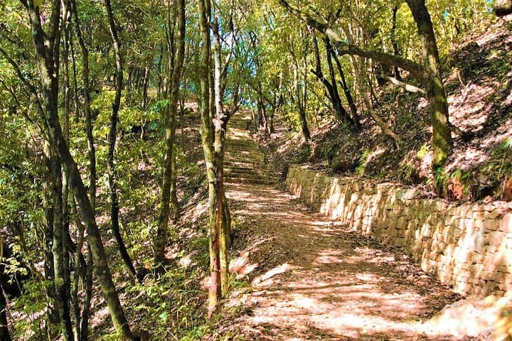 Kathmandu Valley Birding Hike: Day Birdwatching Tour in Nagarjun & Shivapuri photo 5