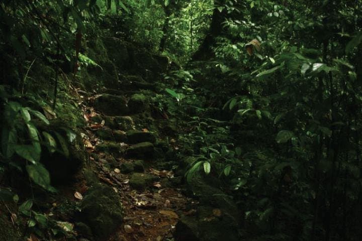 Makandawa Rainforest: Village Crossing & Waterfall Hike Near Kitulgala