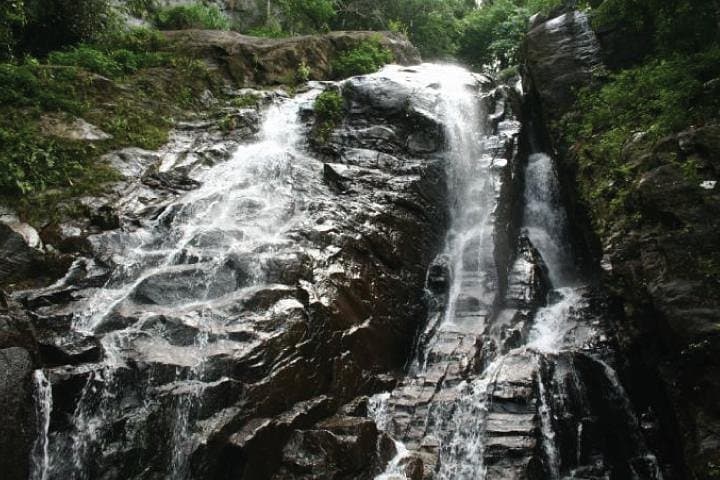 Makandawa Rainforest: Village Crossing & Waterfall Hike Near Kitulgala photo 2
