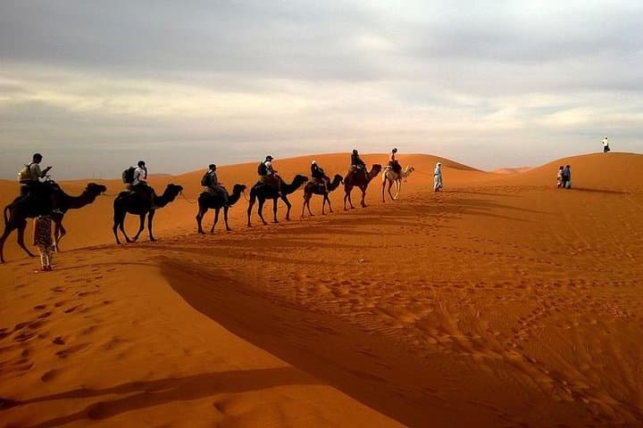Red Dune Desert Safari with BBQ Dinner — Dubai 4x4 Evening Adventure