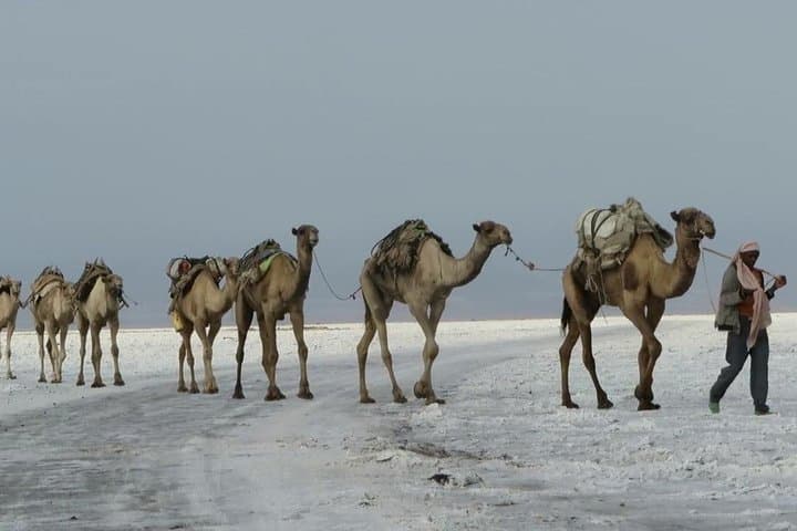 Afar Danakil Depression: 15-Day Expedition to Erta Ale, Dallol & Salt Flats