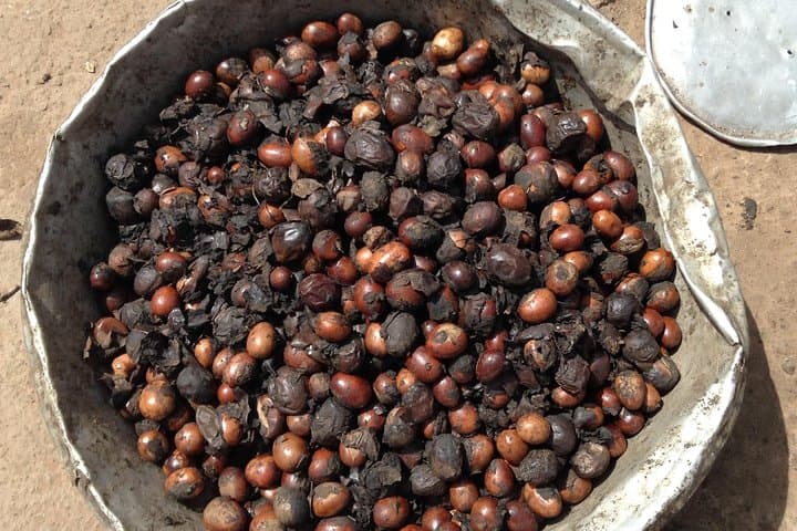 Half-Day Tamale Cultural Experience: Markets, Crafts & Shea Butter Workshop photo 4
