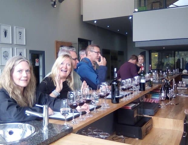 Private Cape Town Wine & Sights Tour — Custom 7-Hour Experience with Pneuma