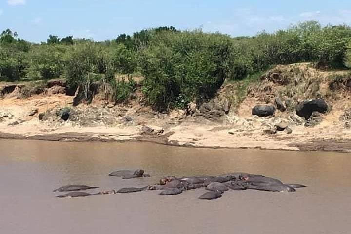 3-Day Maasai Mara Safari — Wildebeest Migration & Big Five Game Drives photo 5