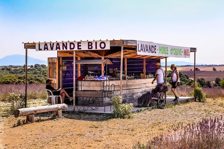 Full-Day Provence Lavender Fields & Verdon Gorge Private Tour from Nice photo 2
