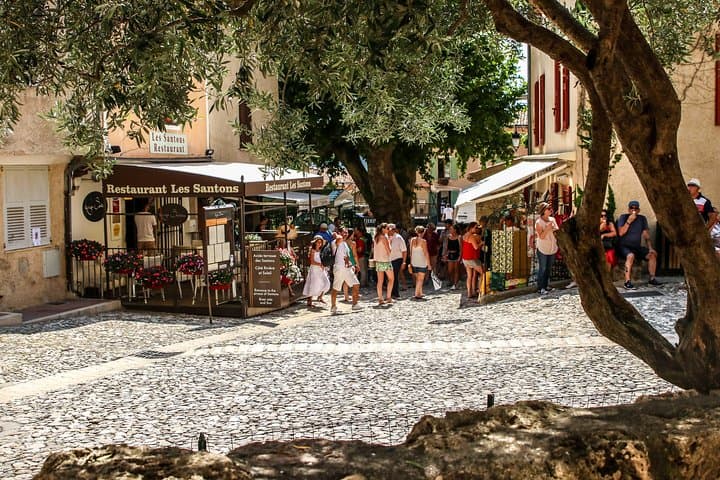 Full-Day Provence Lavender Fields & Verdon Gorge Private Tour from Nice photo 3