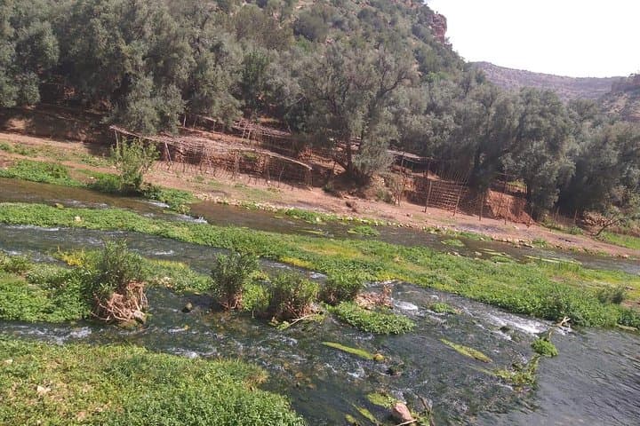 Private Day Trip to Ouzoud Waterfalls from Marrakech — Full-Day Guided Visit photo 4