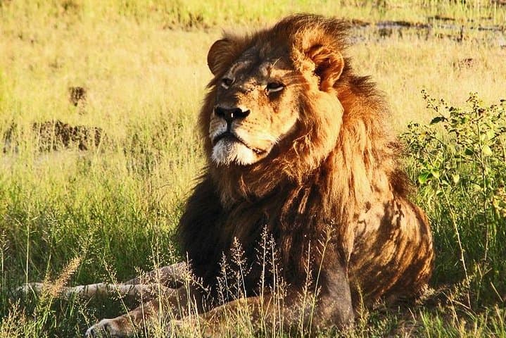 9-Day Kenya Safari: Amboseli, Tsavo & Diani Beach Adventure photo 6