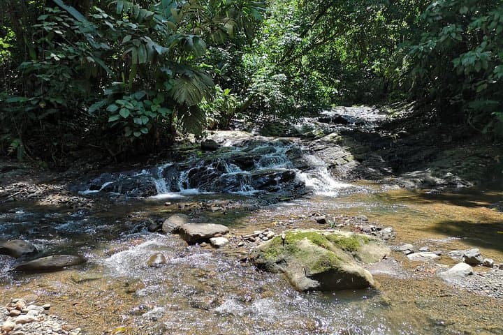 Volio Waterfall & BriBri Chocolate: Rainforest Swim and Indigenous Farm Tour photo 2