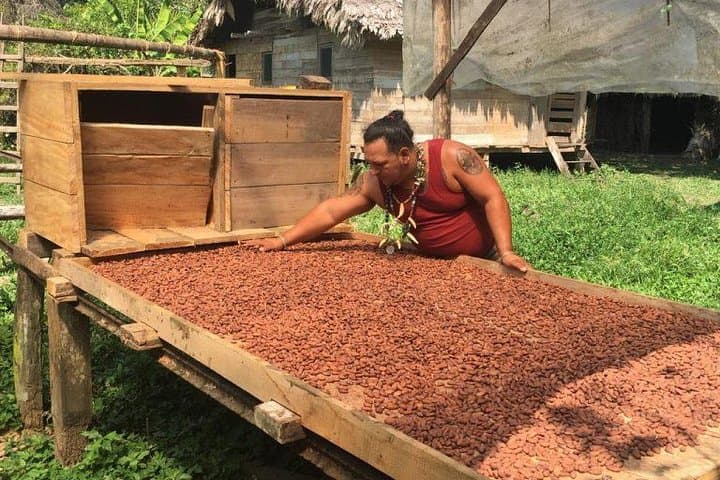 Volio Waterfall & BriBri Chocolate: Rainforest Swim and Indigenous Farm Tour photo 3